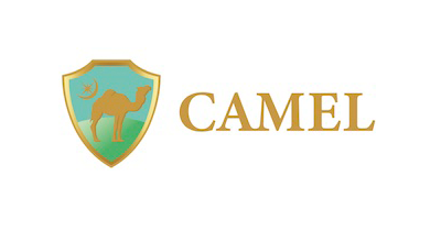 CAMEL（キャメル）｜不動産投資クラウドファンディングのポイントサイト比較・報酬ランキング